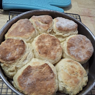 Buttermilk Biscuits 