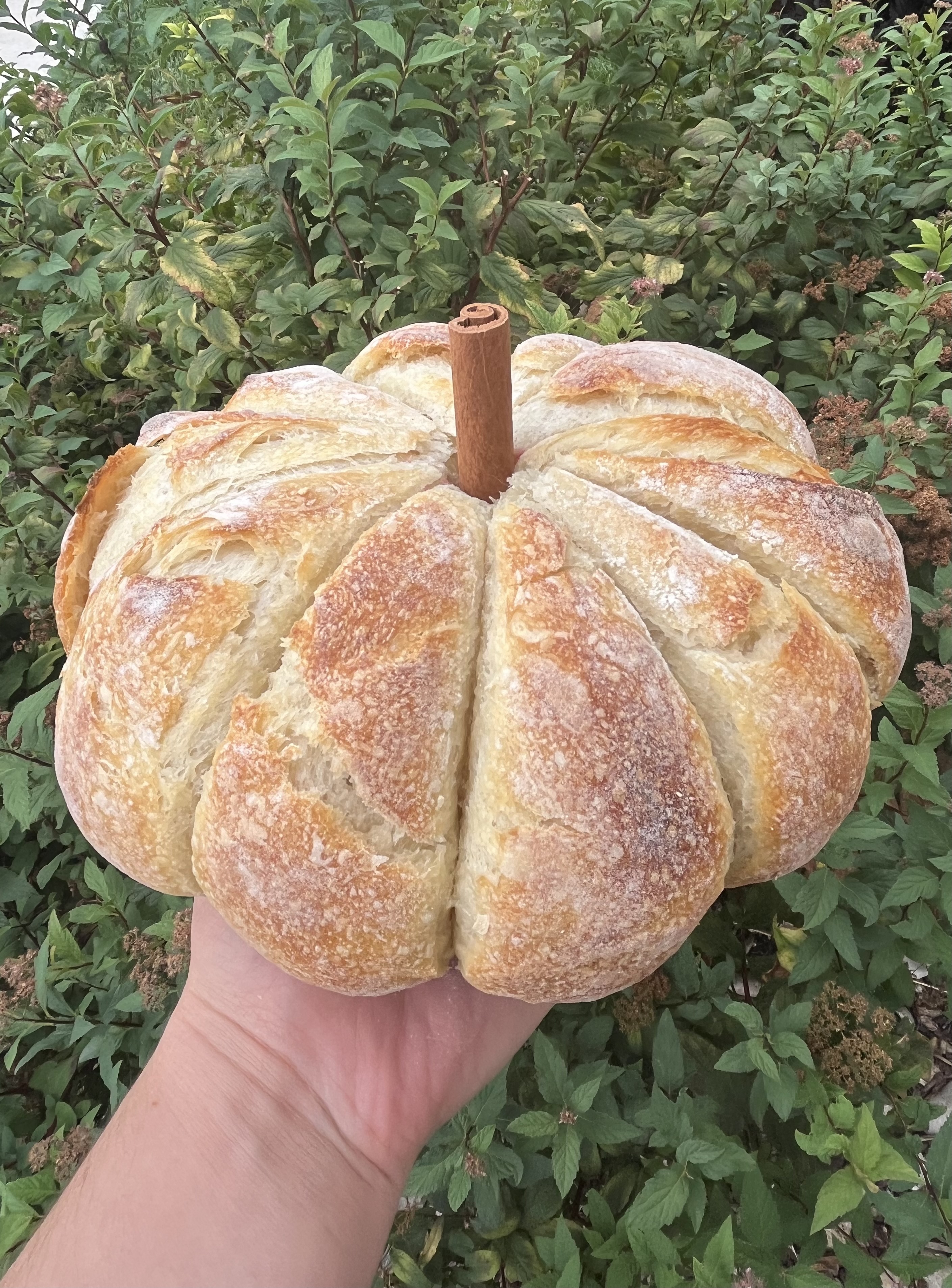Pumpkin-Shaped Yeast Bread (not sourdough)