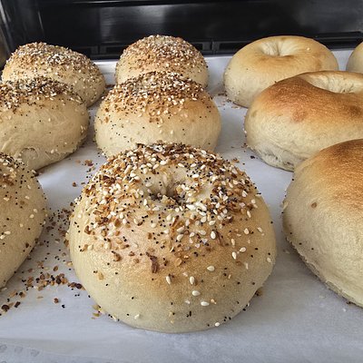 Sourdough Bagels 3/$10