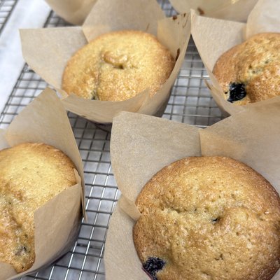 Sourdough Blueberry Muffins (4 Pack)