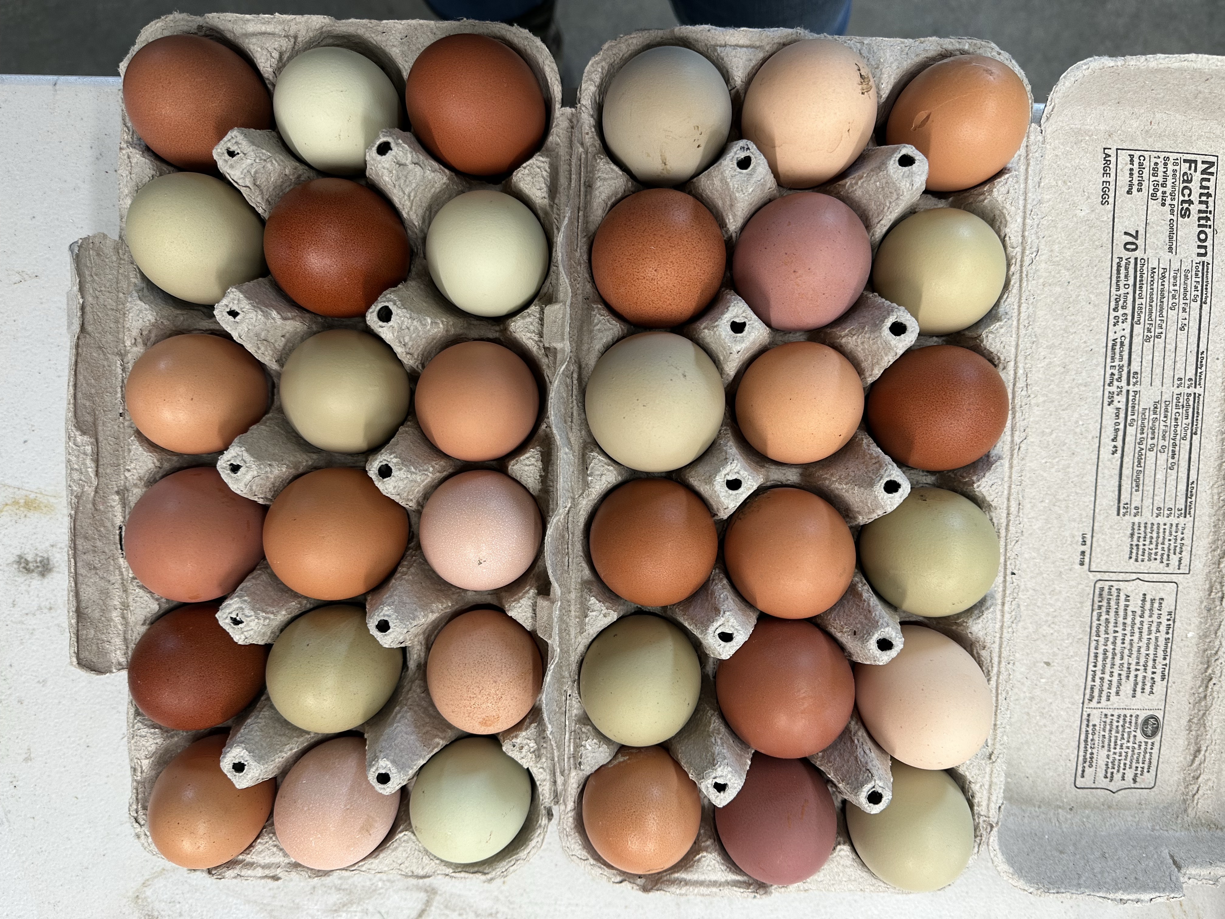 Eggs