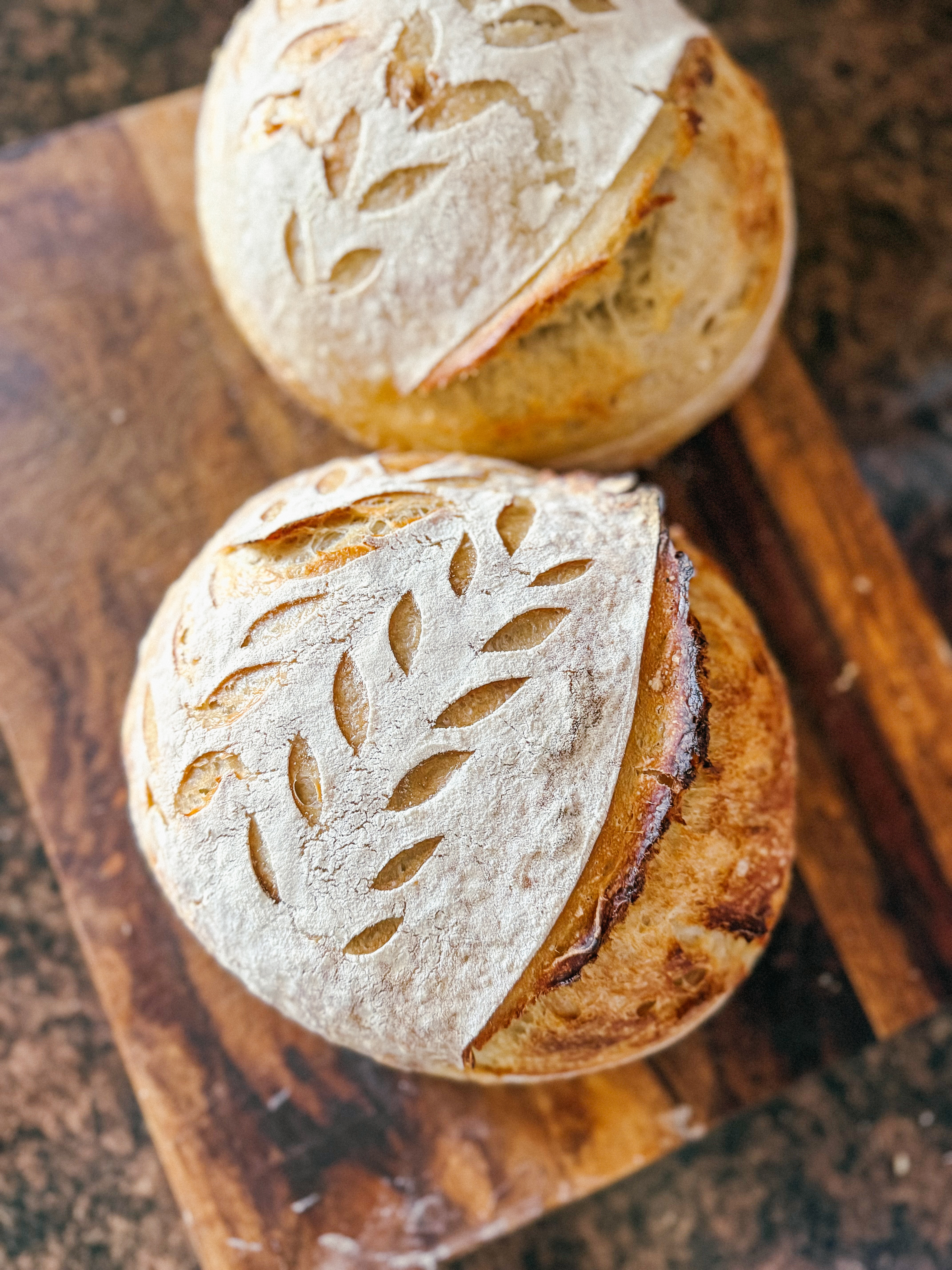 Sourdough Boule