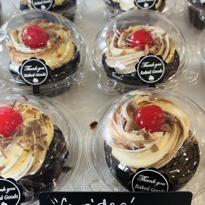 Jumbo Gourmet Cupcake Dozen
