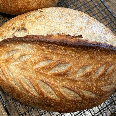 Sourdough