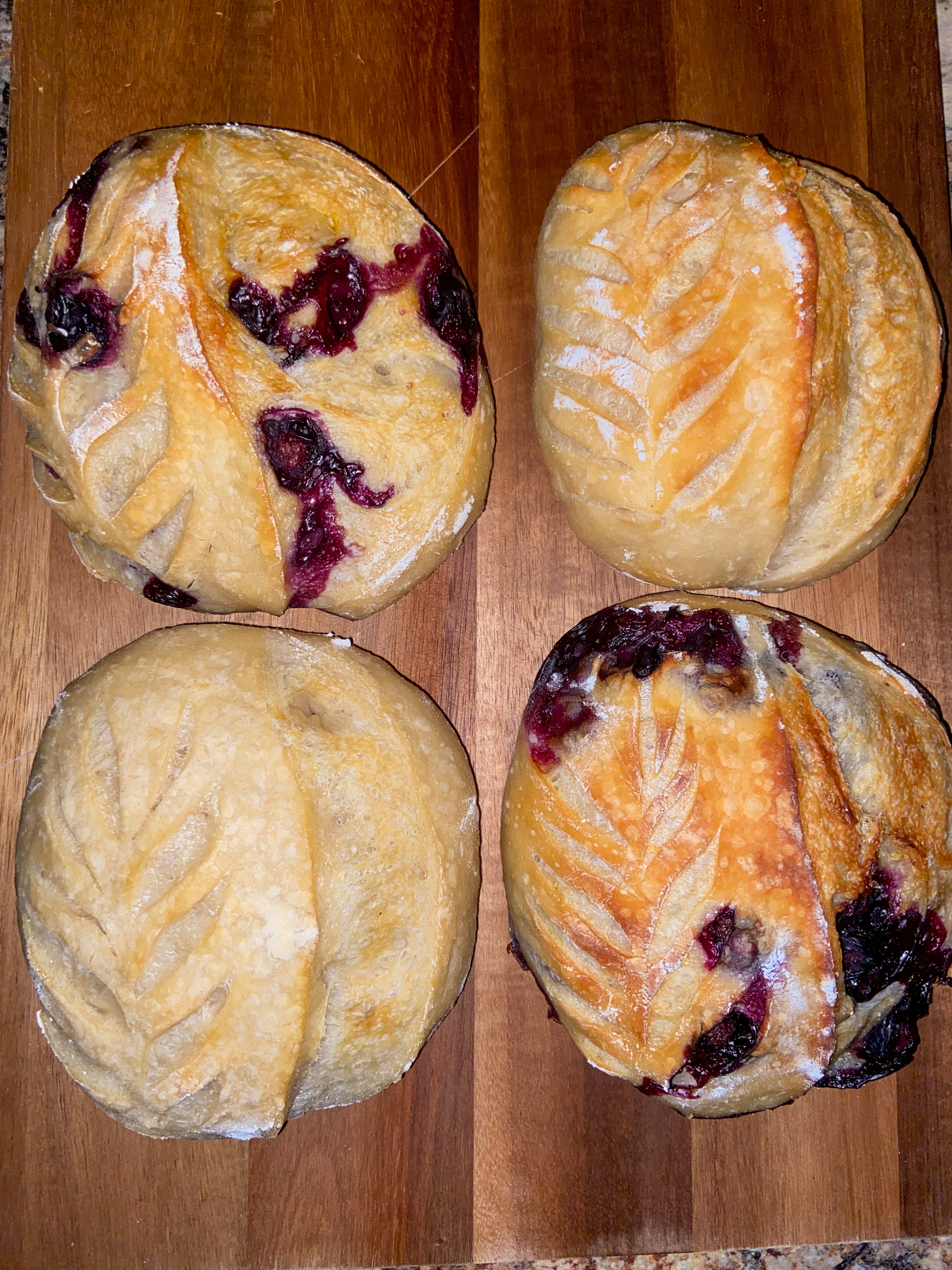 Mini Flight-Choose Any 4 Flavors 