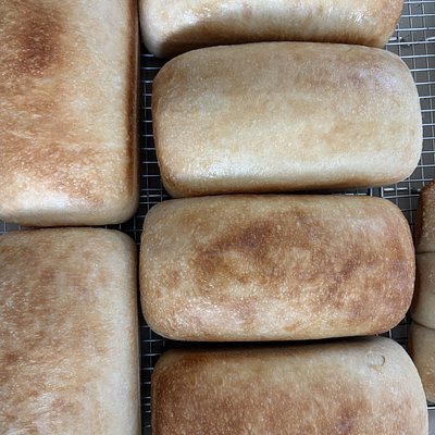 Honey Butter Sourdough Sandwich Bread