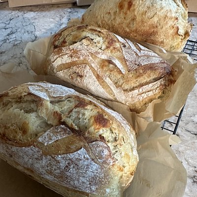 Cinnamon Chocolate Chip Sourdough