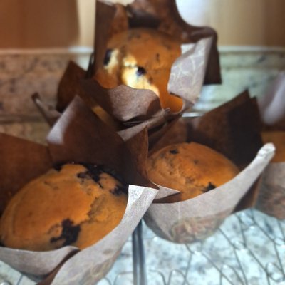  Gluten Free Blueberry Muffins 