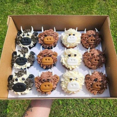 Full-size Cupcakes