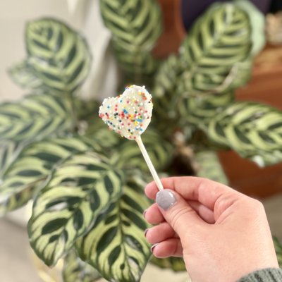 30 Custom Cookie Pops