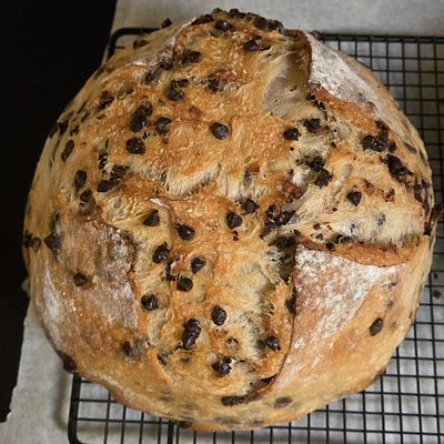 Chocolate Chip