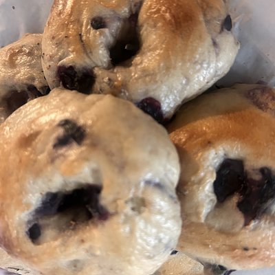 Blueberry sourdough bagels