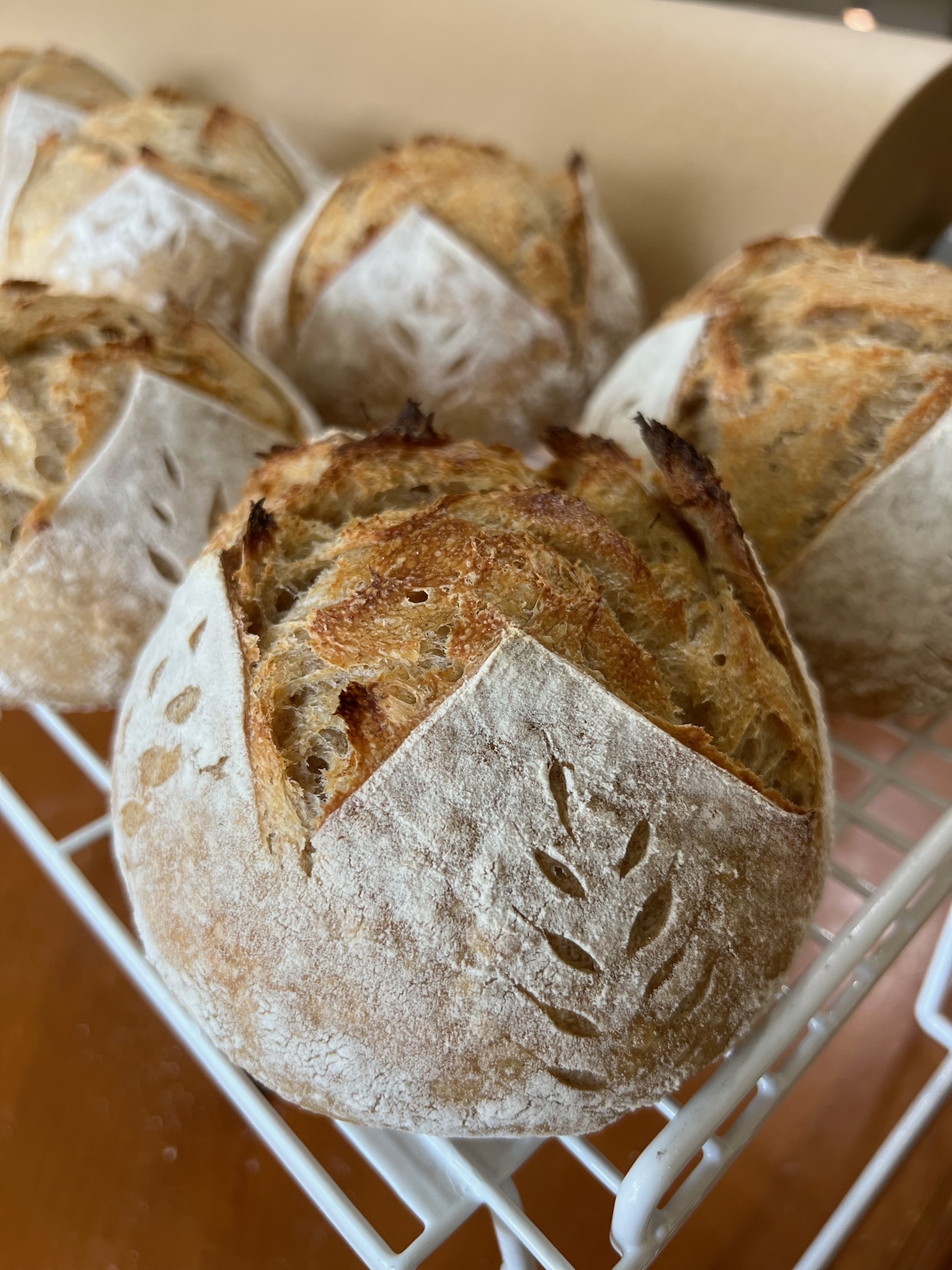 Plain Sourdough Mini Loaf