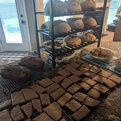 Sourdough Graham Crackers--x12 SOFT & CHEWY