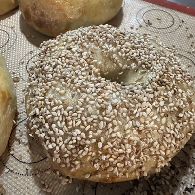 Sesame Bagels