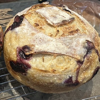 Lemon Blueberry Boule