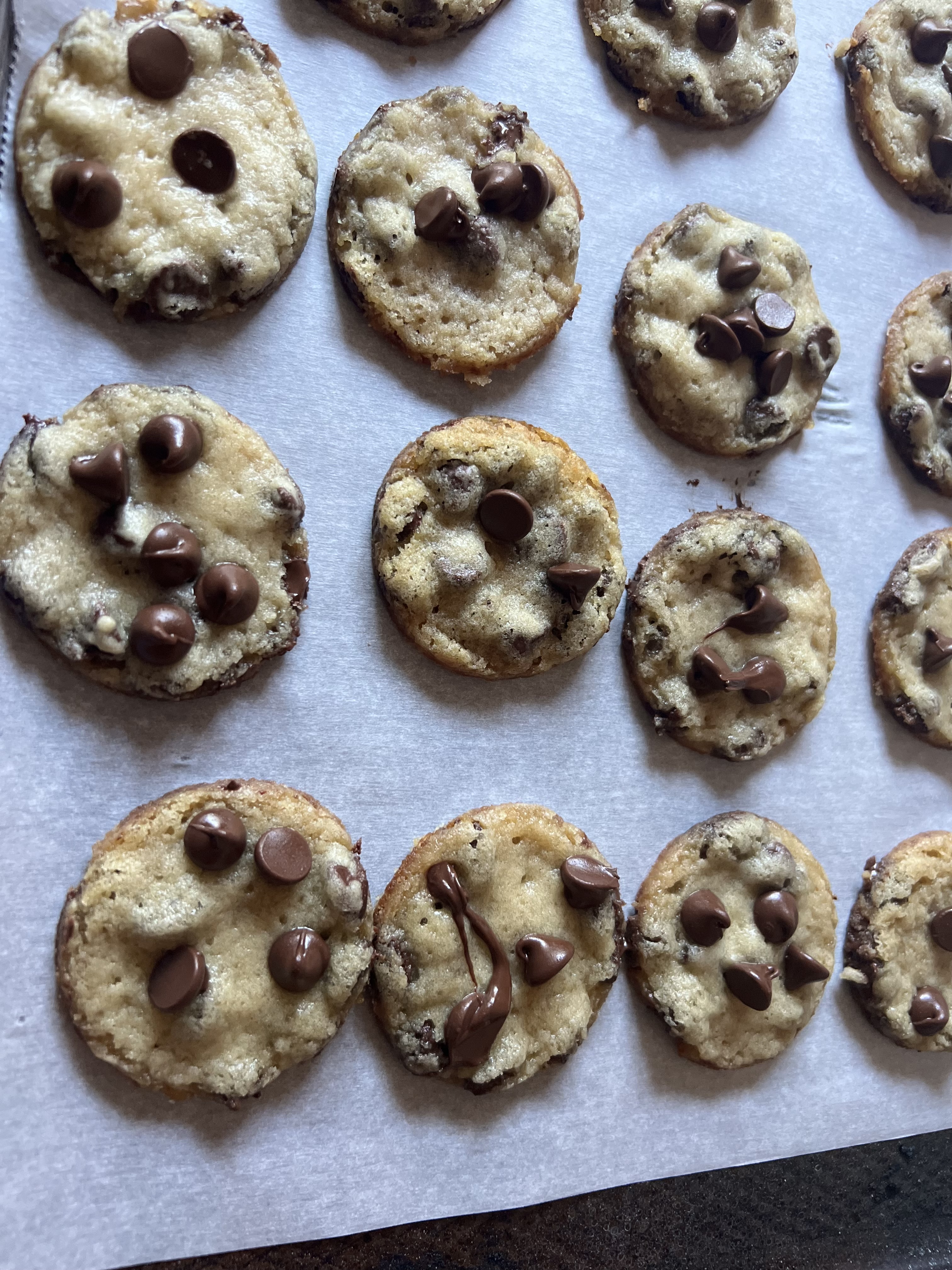 Regular Chocolate Chip Cookies (12)