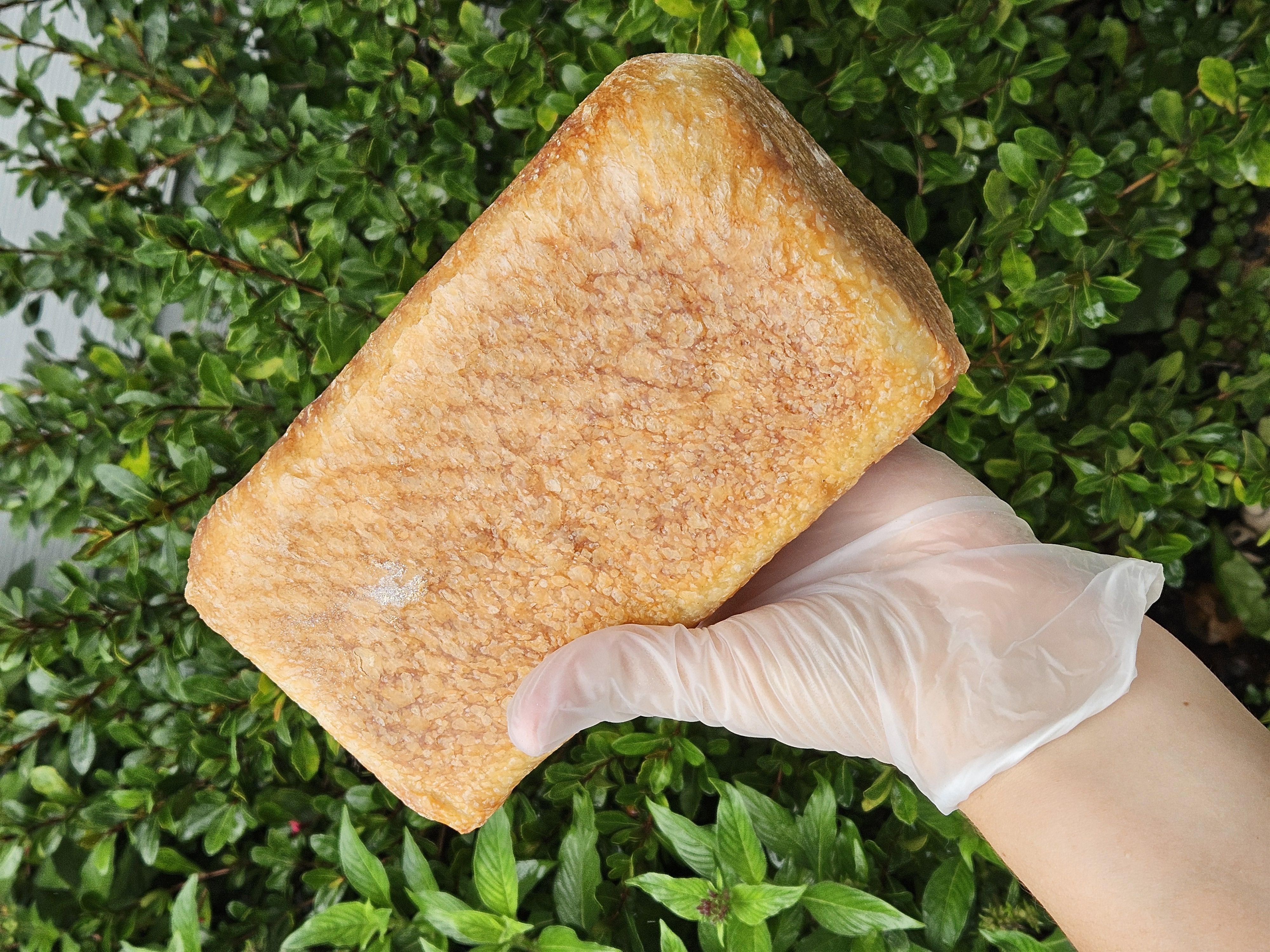 Sourdough SANDWICH BREAD 