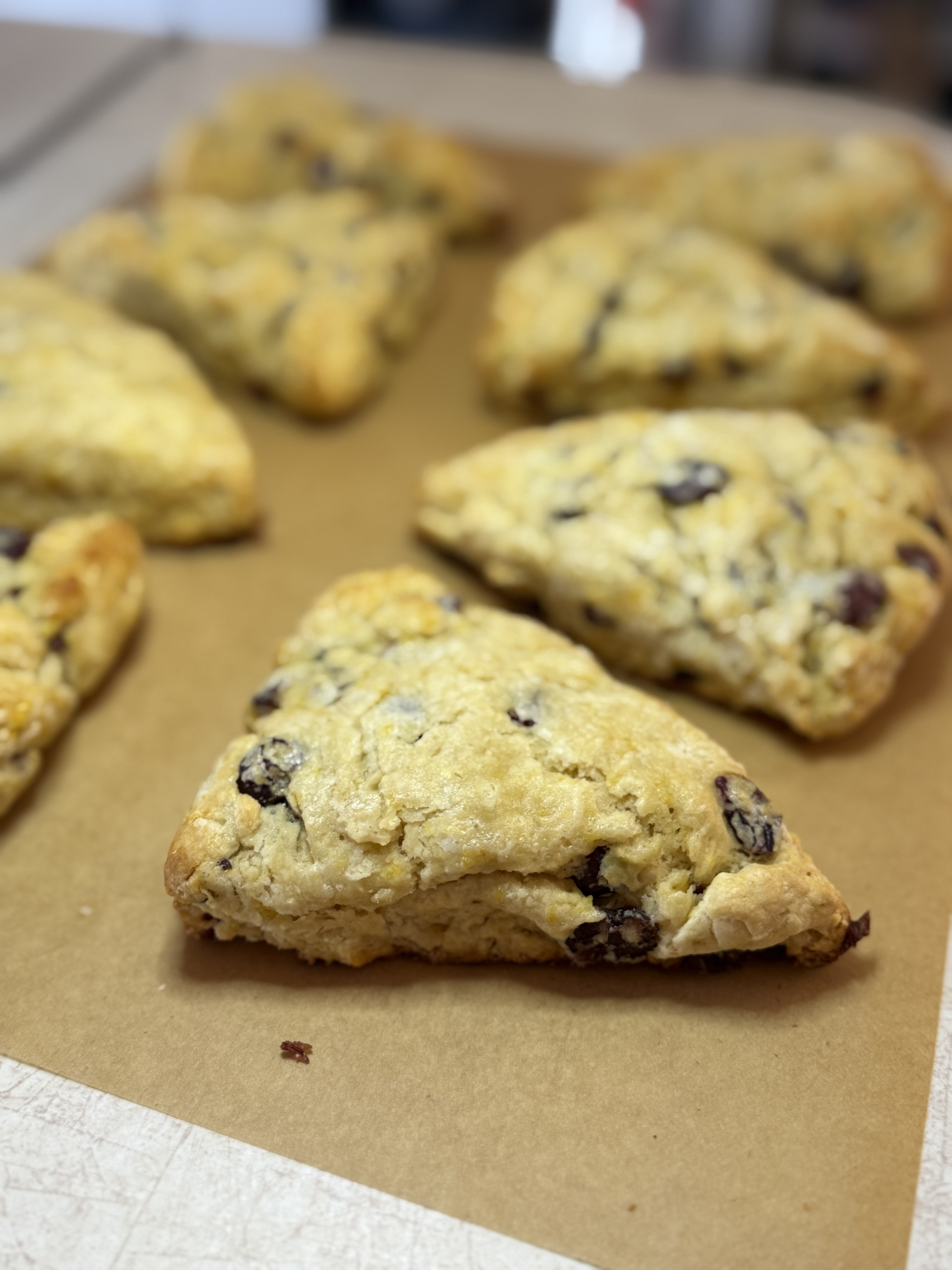 Sourdough Orange Cranberry Scones 