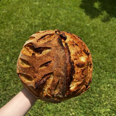 Garlic and Rosemary Sourdough Loaf