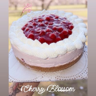 Cherry Blossom Cheesecake 
