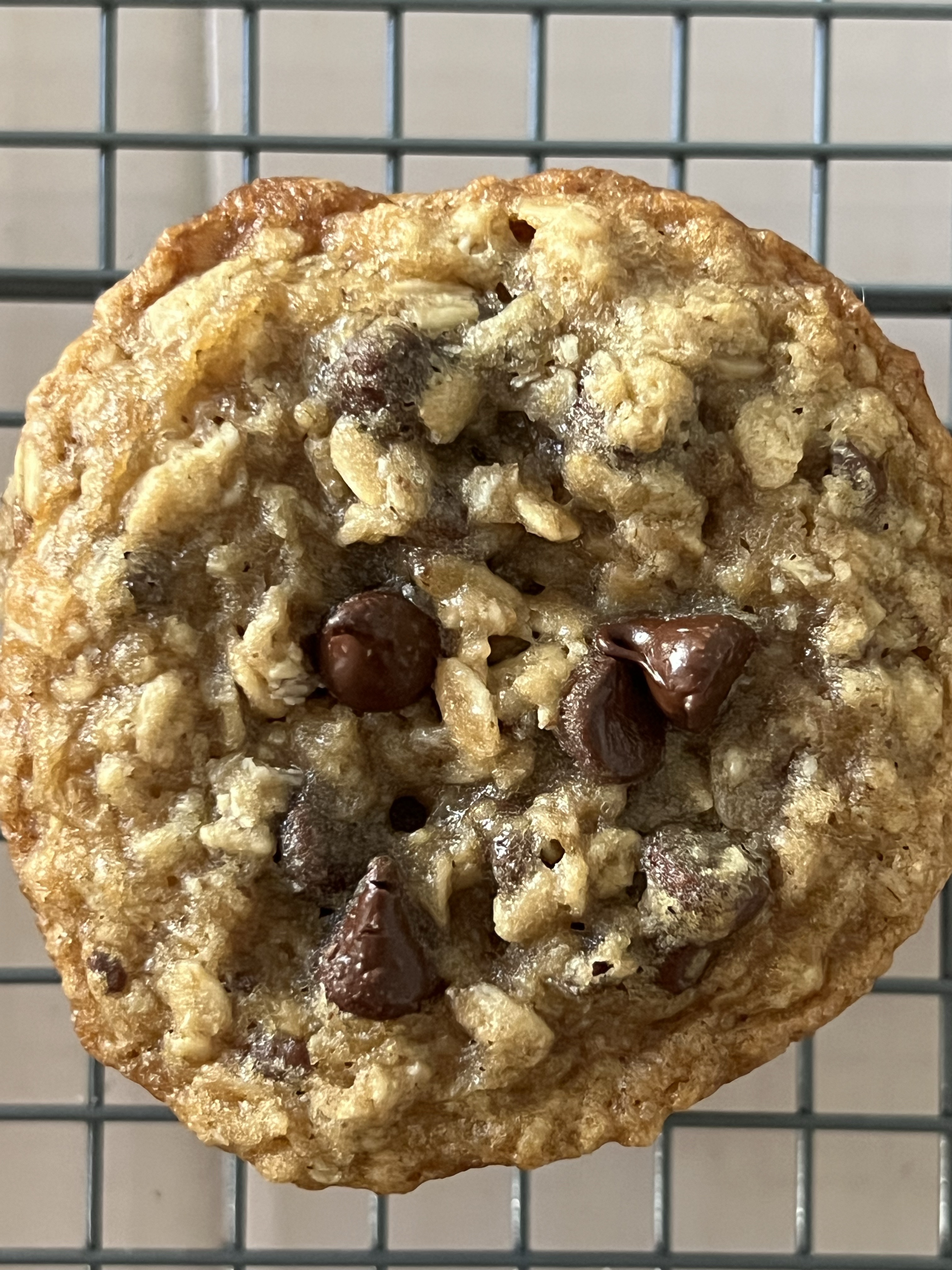 Oatmeal Chocolate Chip (6)