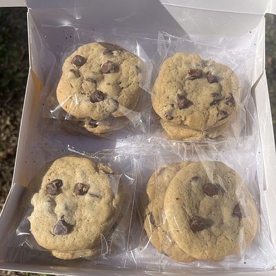 Chocolate Chip Cookie 