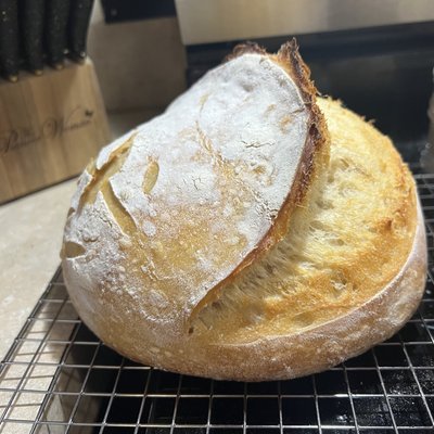 Plain Sourdough