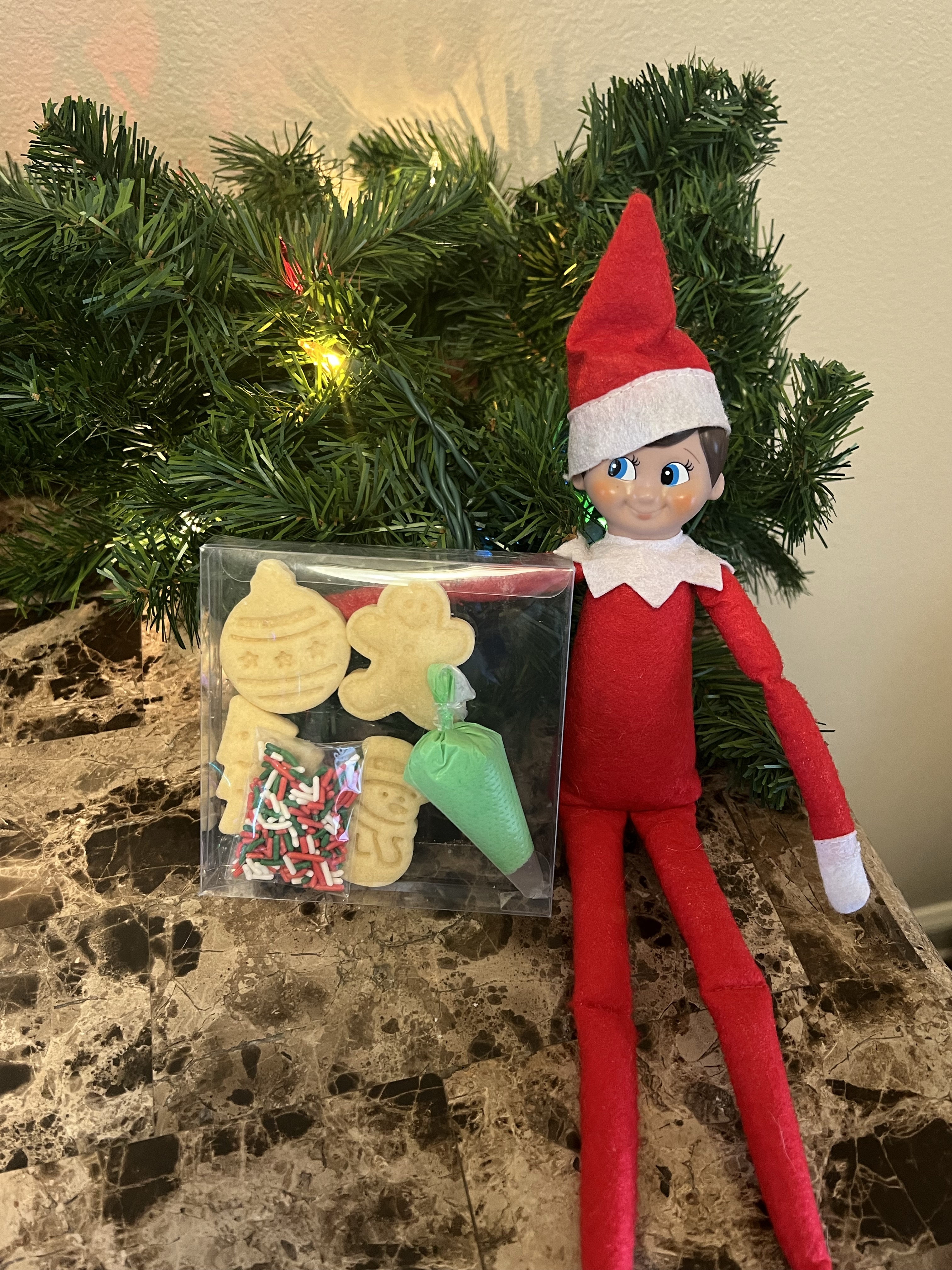 Mini DIY Elf Cookie Kits