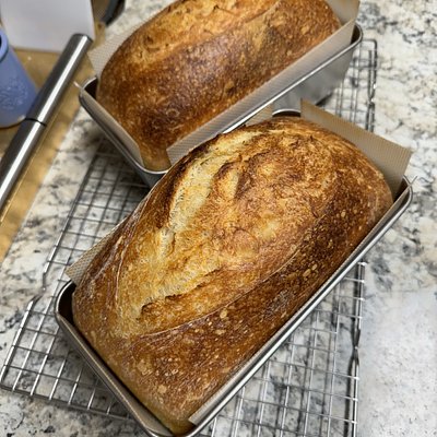 Sourdough Sandwich Loaf