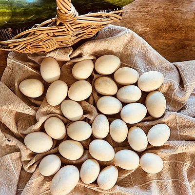 Duck Eggs