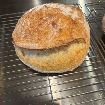 Rosemary & Garlic Sourdough Round