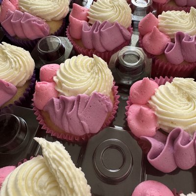 6 Inch Heart + 1 Cupcakes