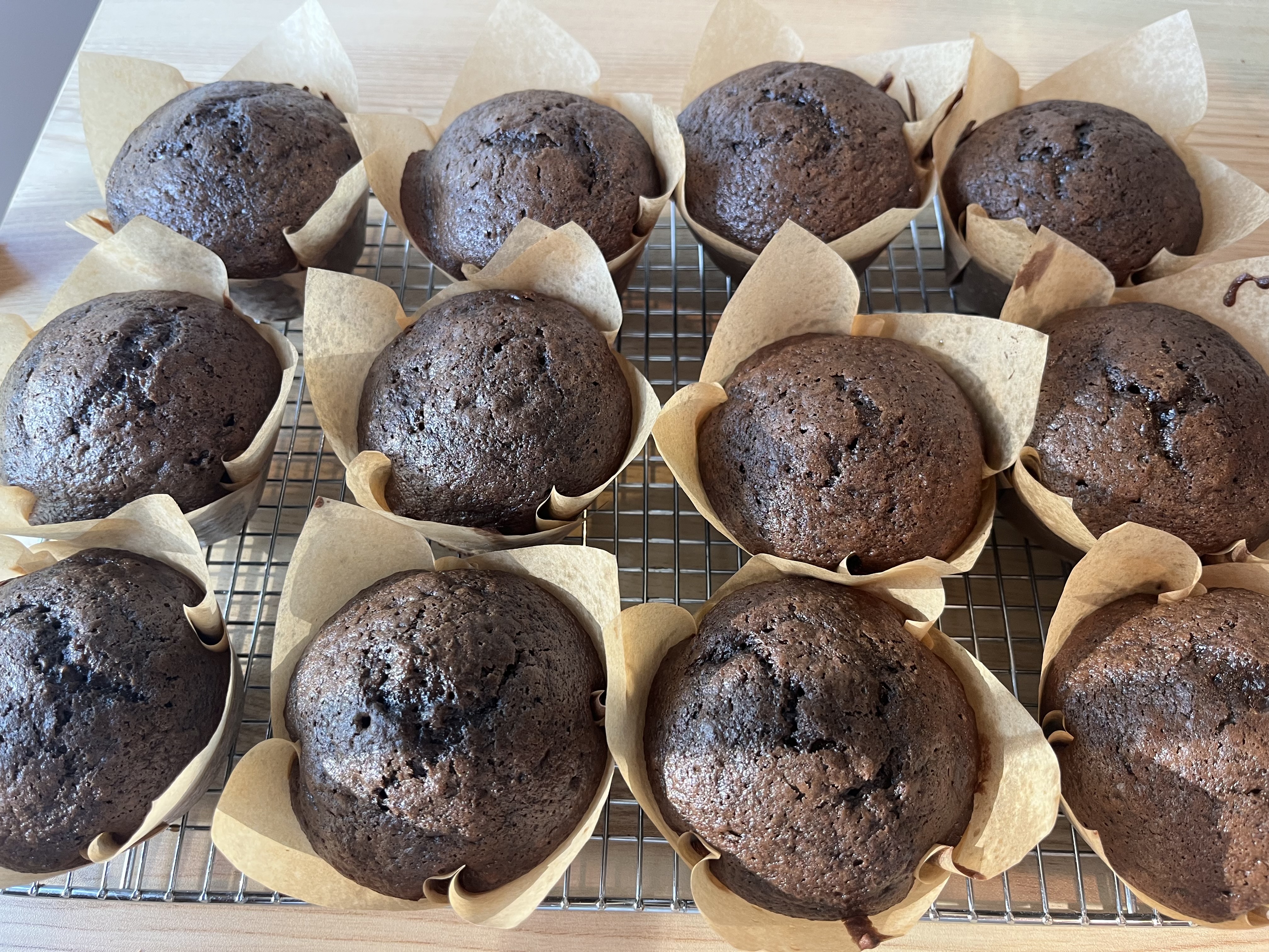 Chocolate Muffins~6 Packs