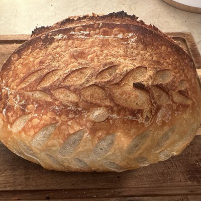 Everything Bagel 