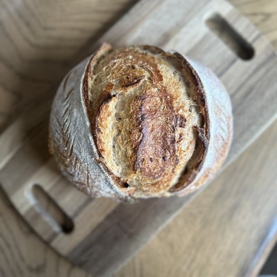 Roasted Garlic + Yo’s Mary Boule