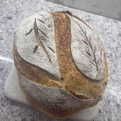 OG Soudough 