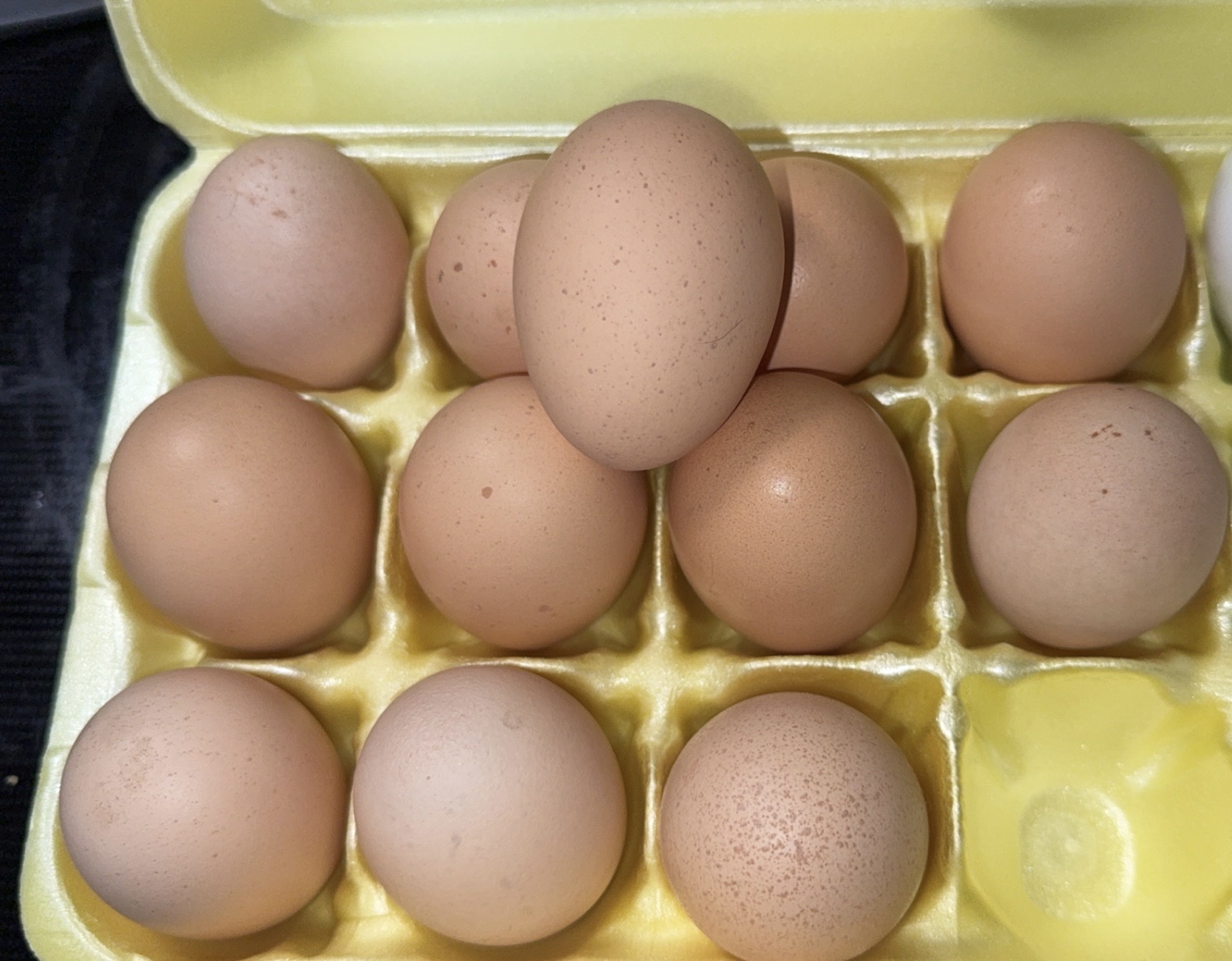 Dozen Farm Fresh Medium/Large Chicken Eggs