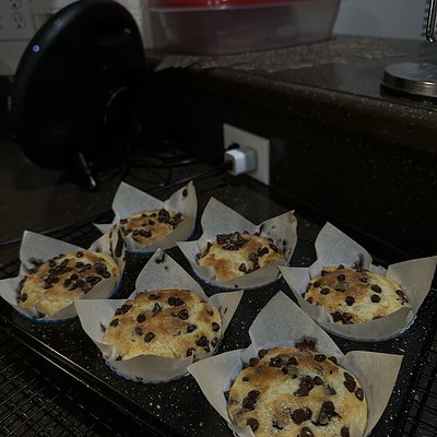 6 Count Standard Muffins