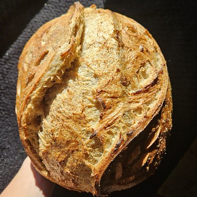 Italian Herb Artisan Loaf
