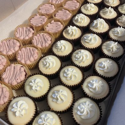 Mini Cheesecakes 