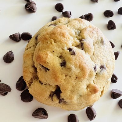 Chocolate Chip Cookie