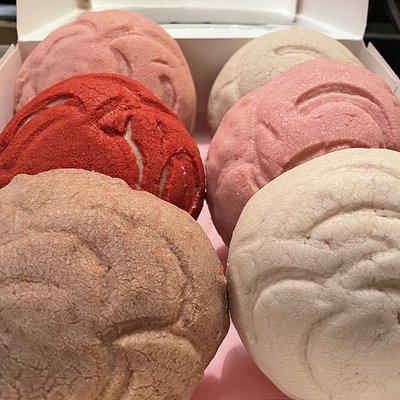 Half Dozen Concha’s (low Sugar)