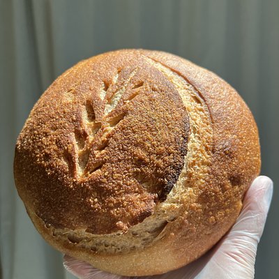 (Gluten free) Sourdough loaf 
