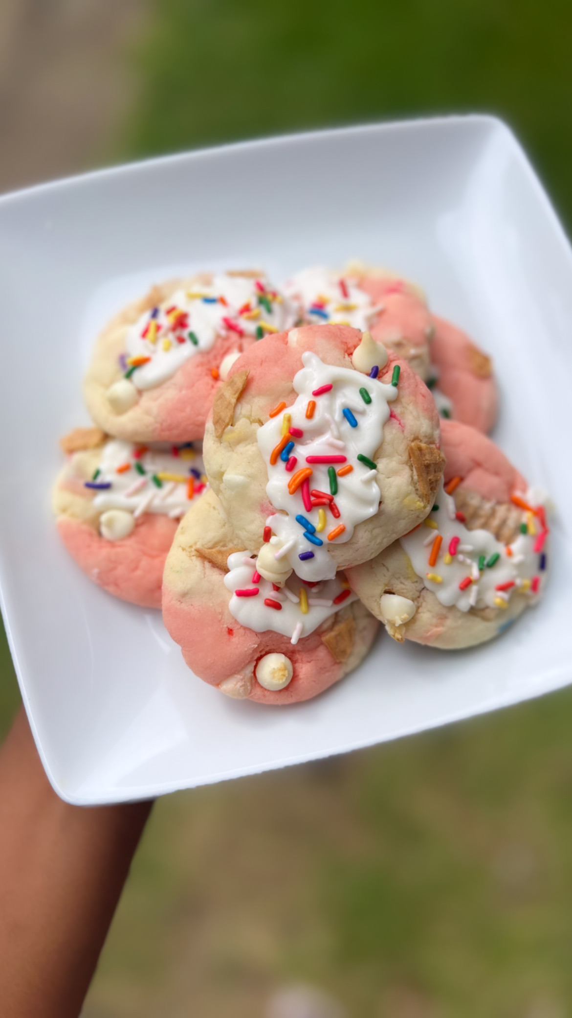 Bru🍒ster’s Strawberry Birthday Cake Cookies