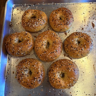 Protein Bagel - 3 Count