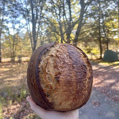Classic Farmstead Sourdough