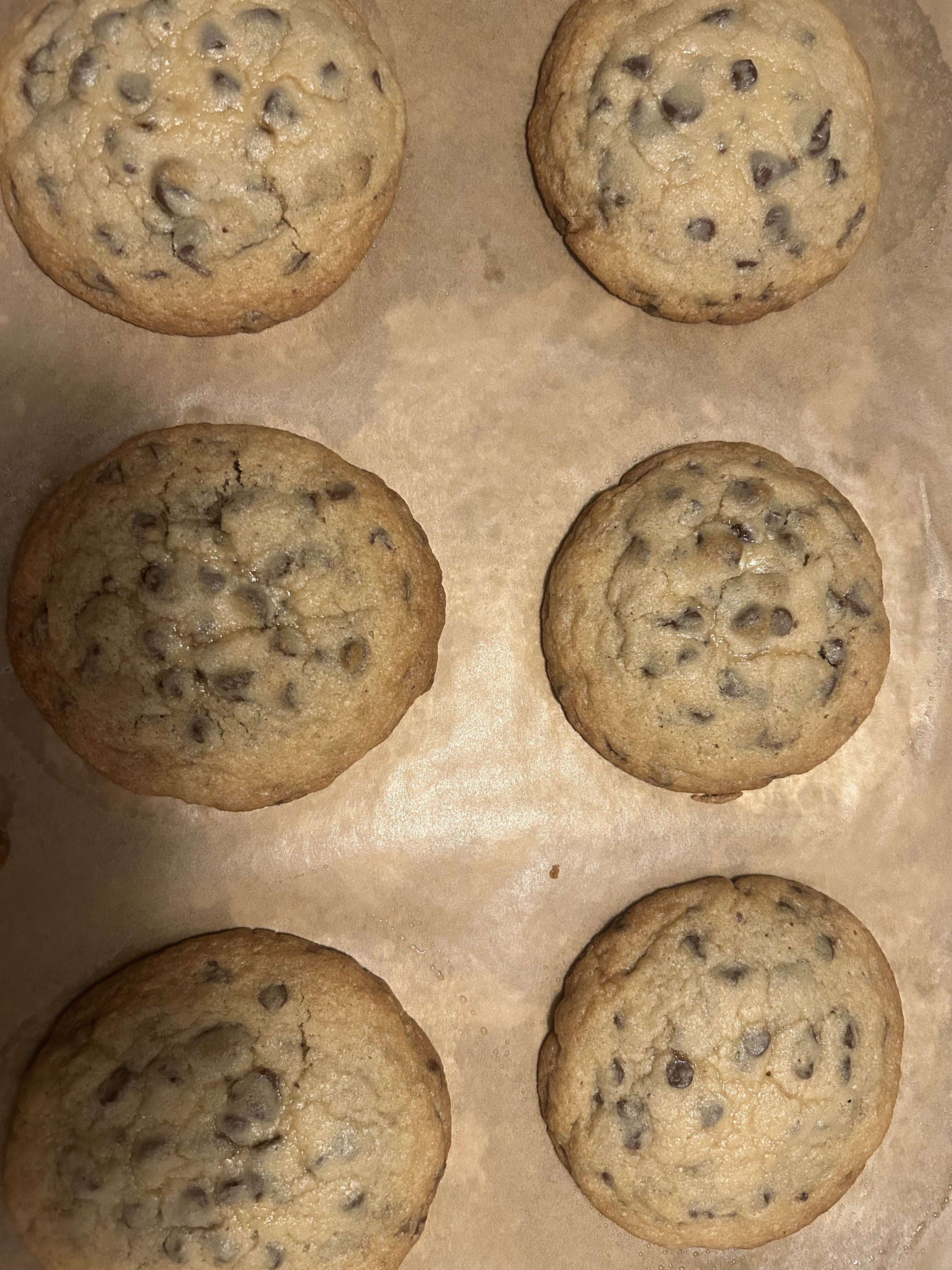 Chocolate Chip 