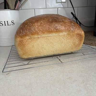 Sandwich Bread 