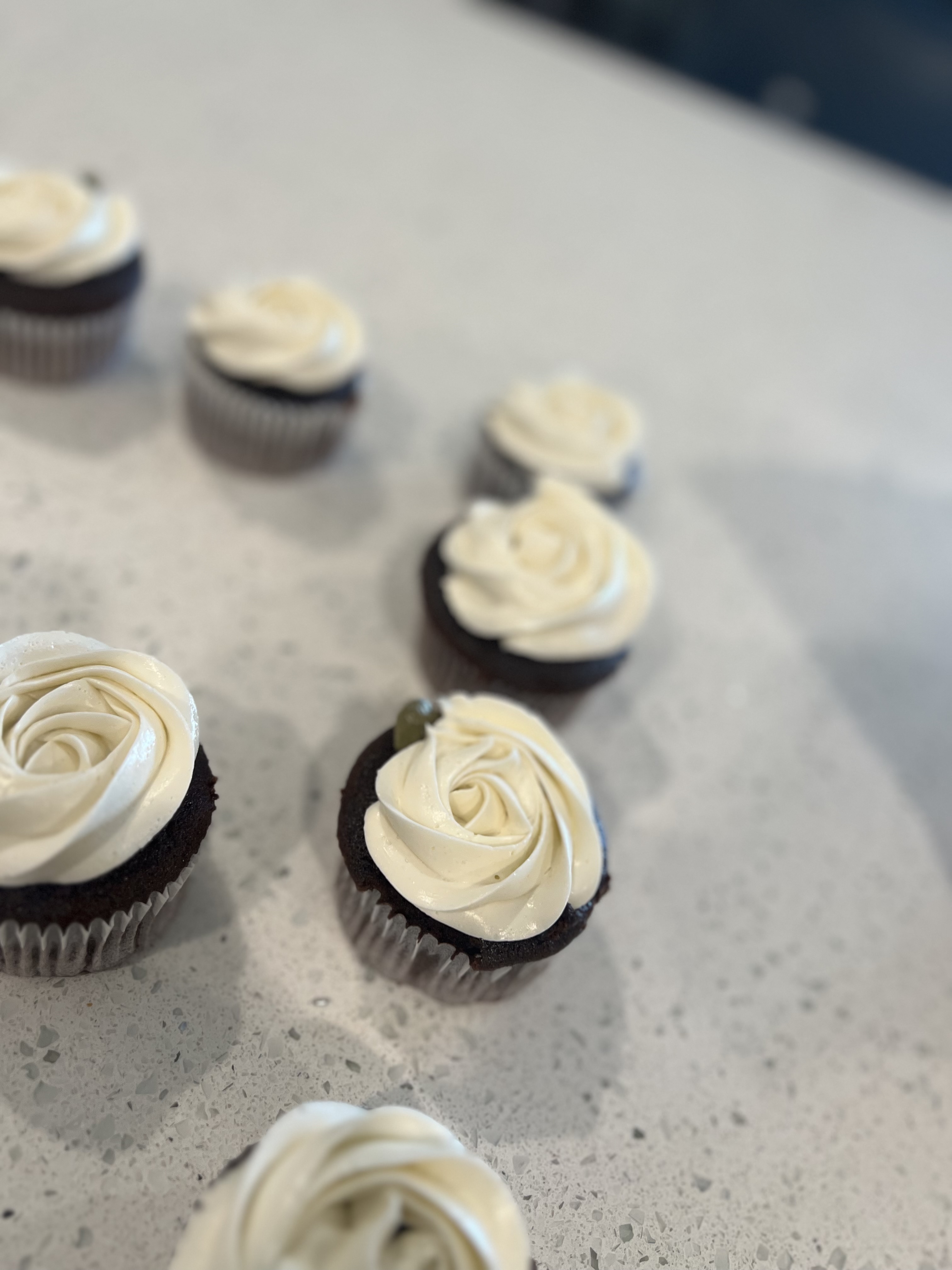 Normal Cupcakes 